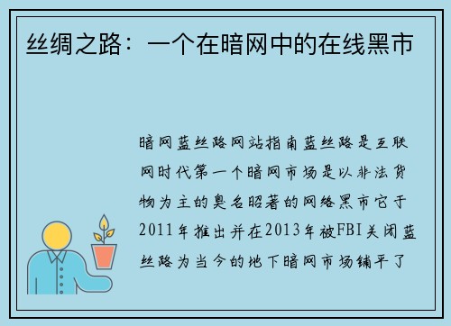 丝绸之路：一个在暗网中的在线黑市